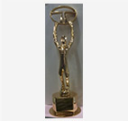 Award: TATA MOTORS Annual Supplier's 2014 Award