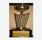 Award: Indian Supply Chain Logistics Summit & Excellence Awards (gold trophy with a name plate)