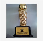 Award: Indian Supply Chain Logistics Summit & Excellence Awards (gold trophy with a ball on top)