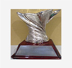 Award: CII Scale Award - Exemplary Position in Supply Chain & Logistics Road Transportation